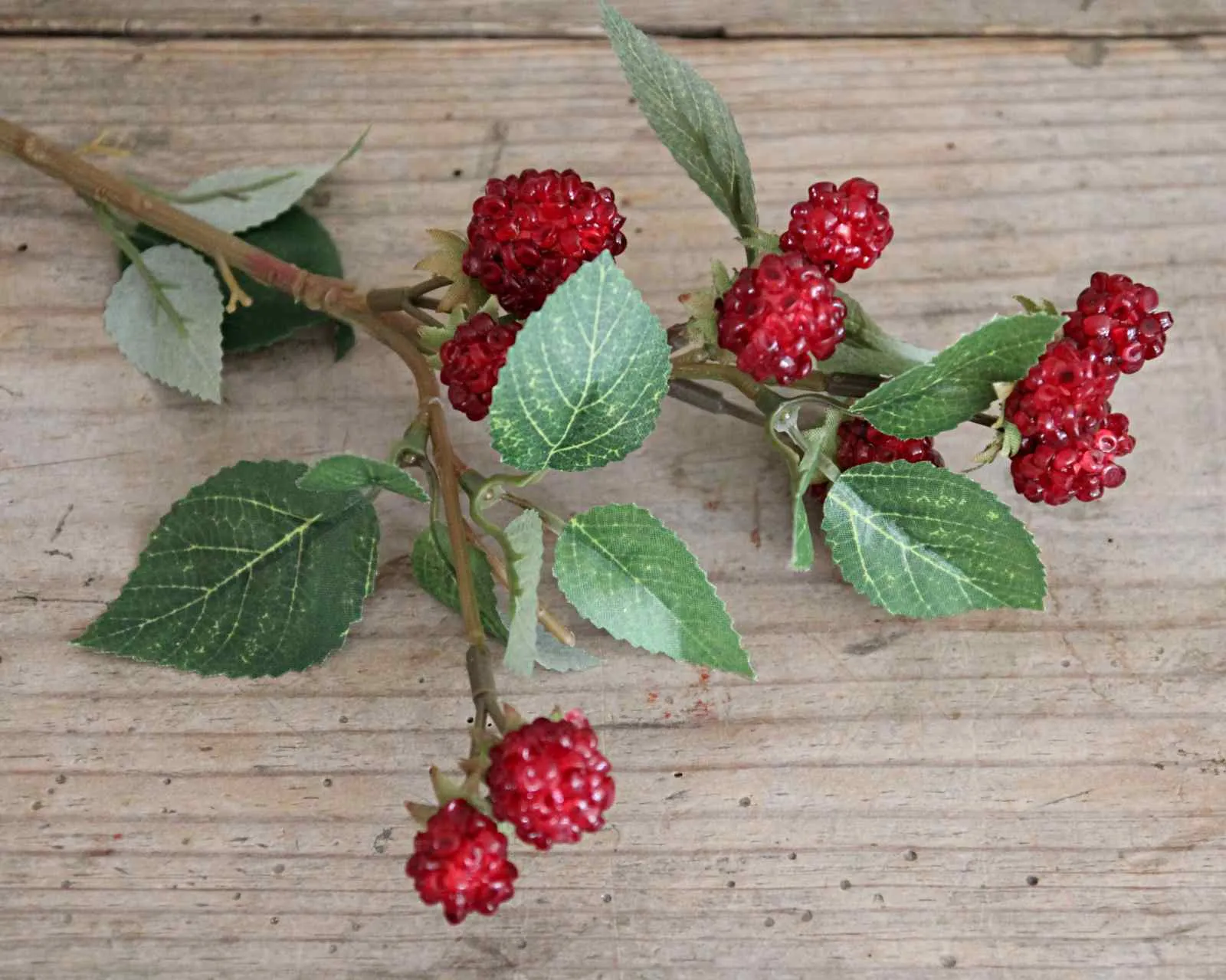 Autumn Blackberry Stem