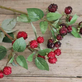 Autumn Blackberry Stem