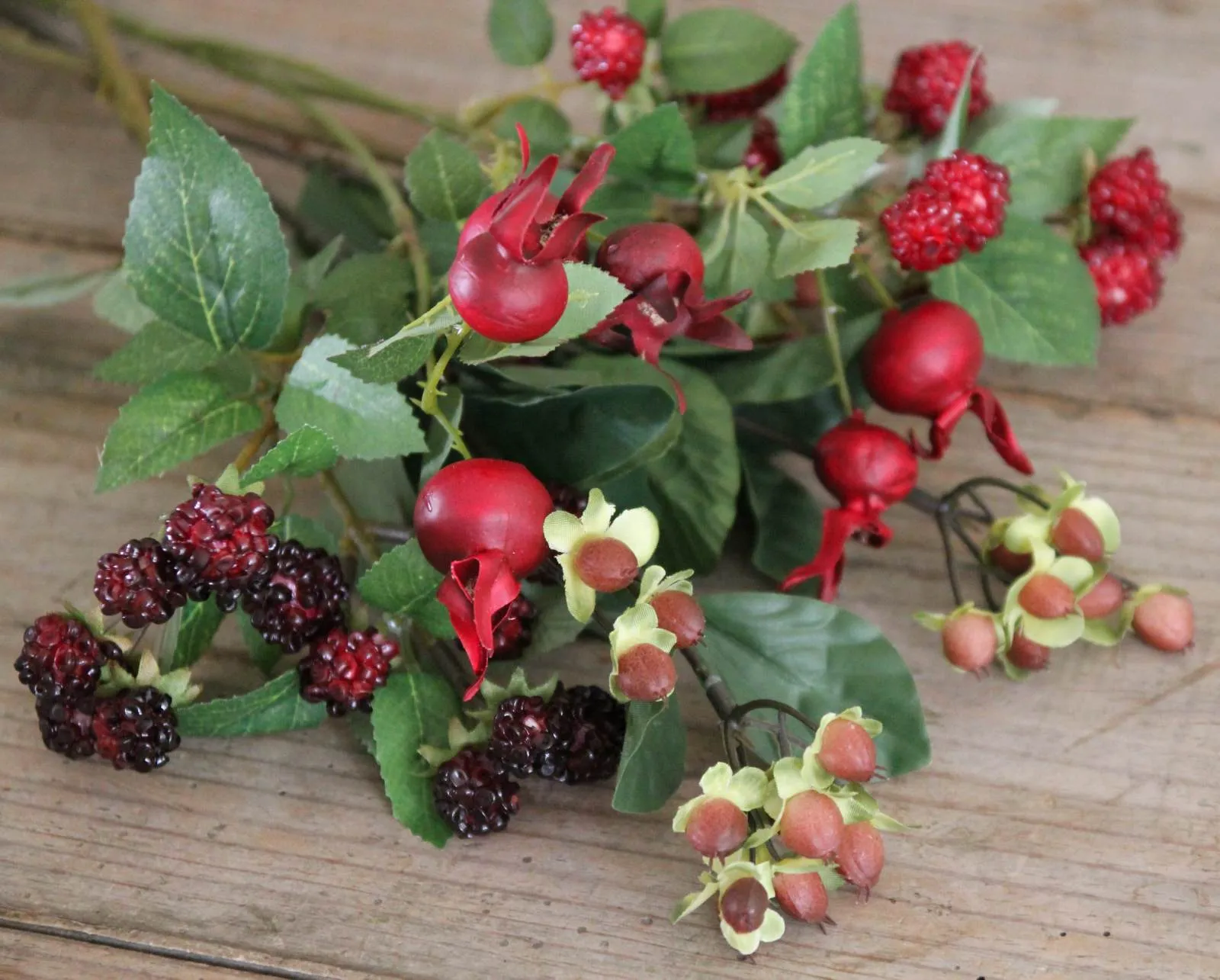 Autumn Blackberry Stem