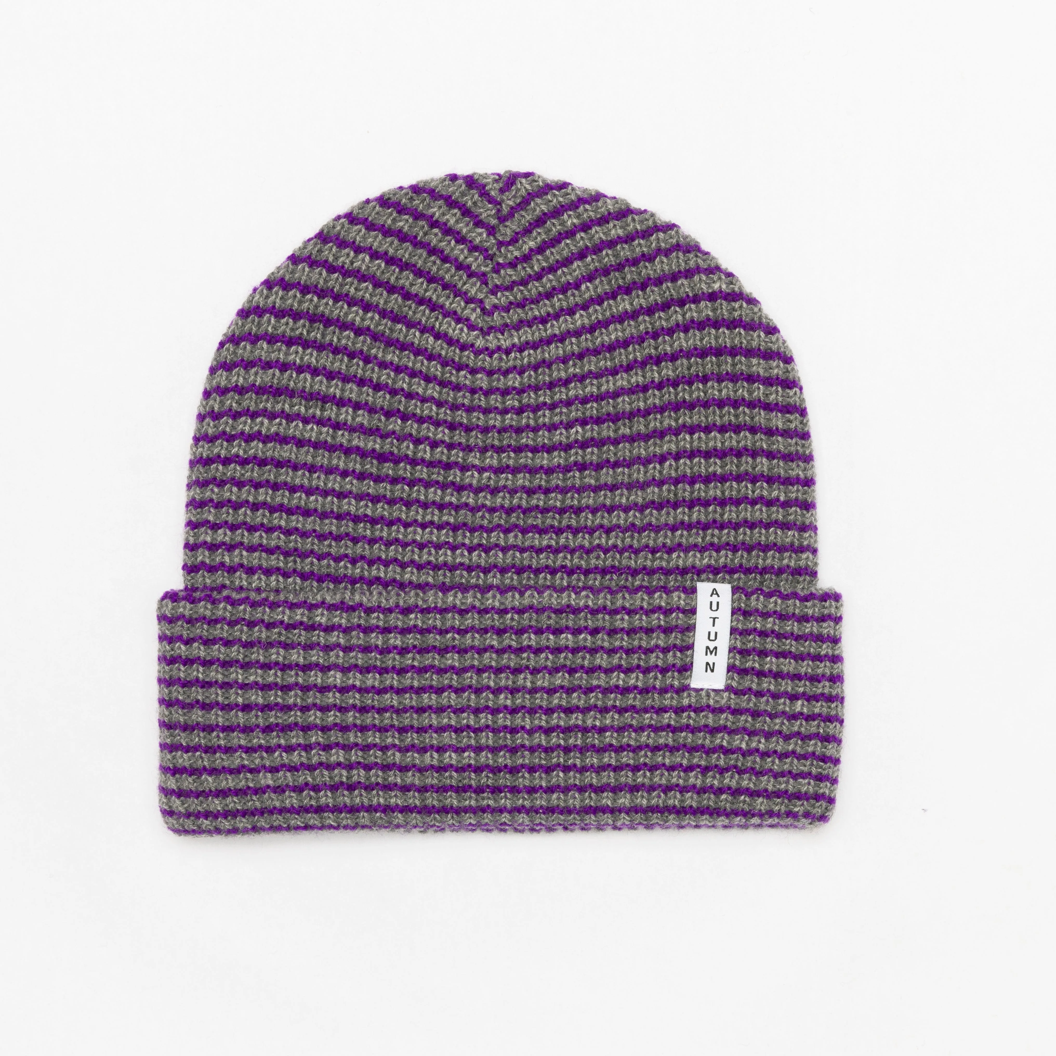 AUTUMN Stripe Youth Beanie Grey