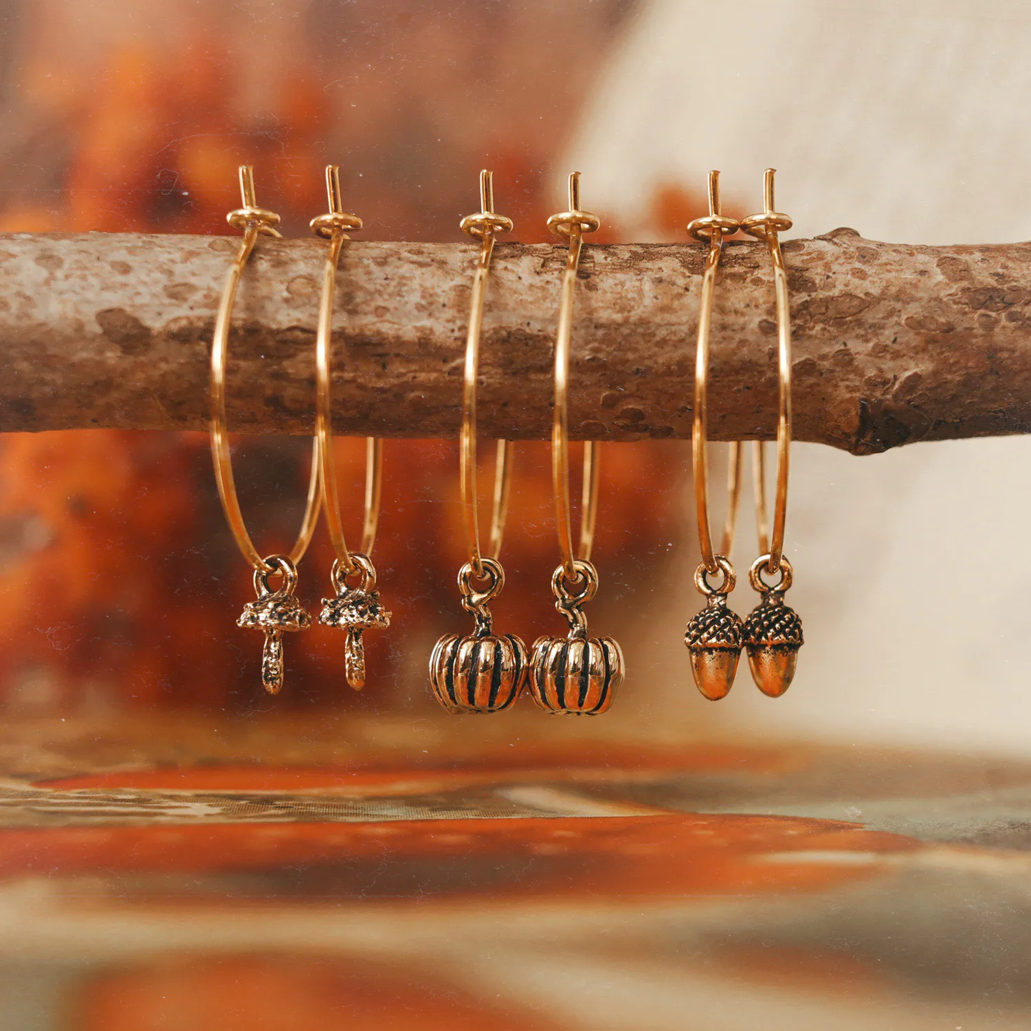 Autumn Woodlands Pumpkin / Acorn / Toadstool Hoops