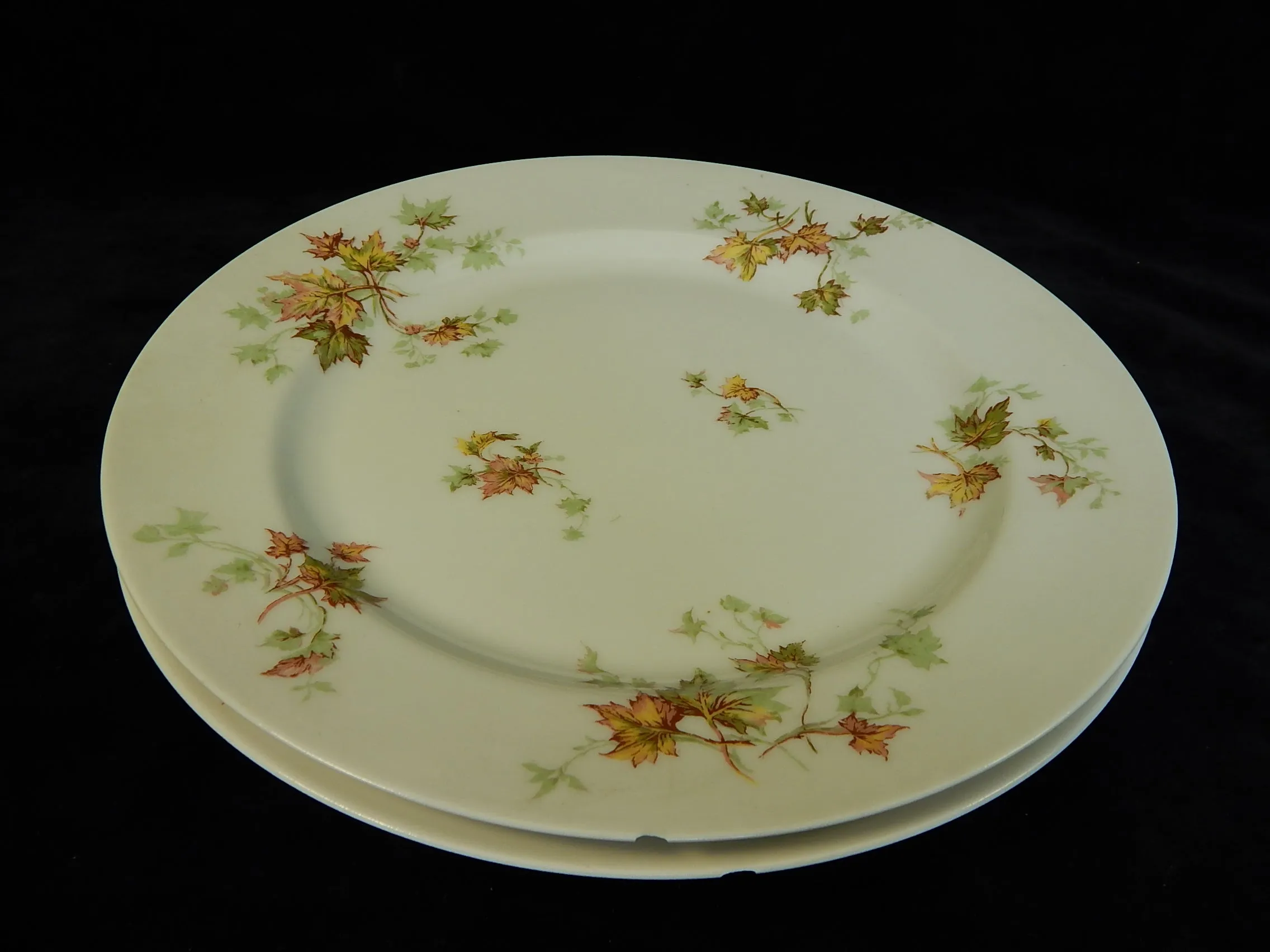 Haviland Limoges Autumn Leaf Plates & Platter - Lot of 7